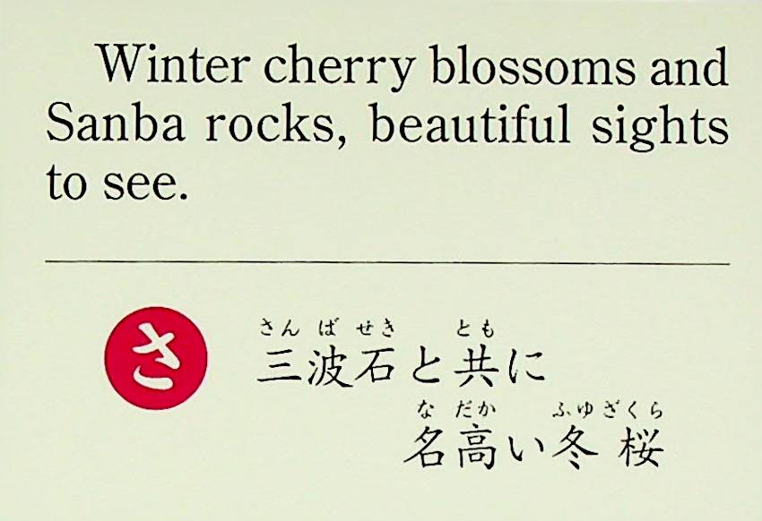 三波石と共に名高い冬桜