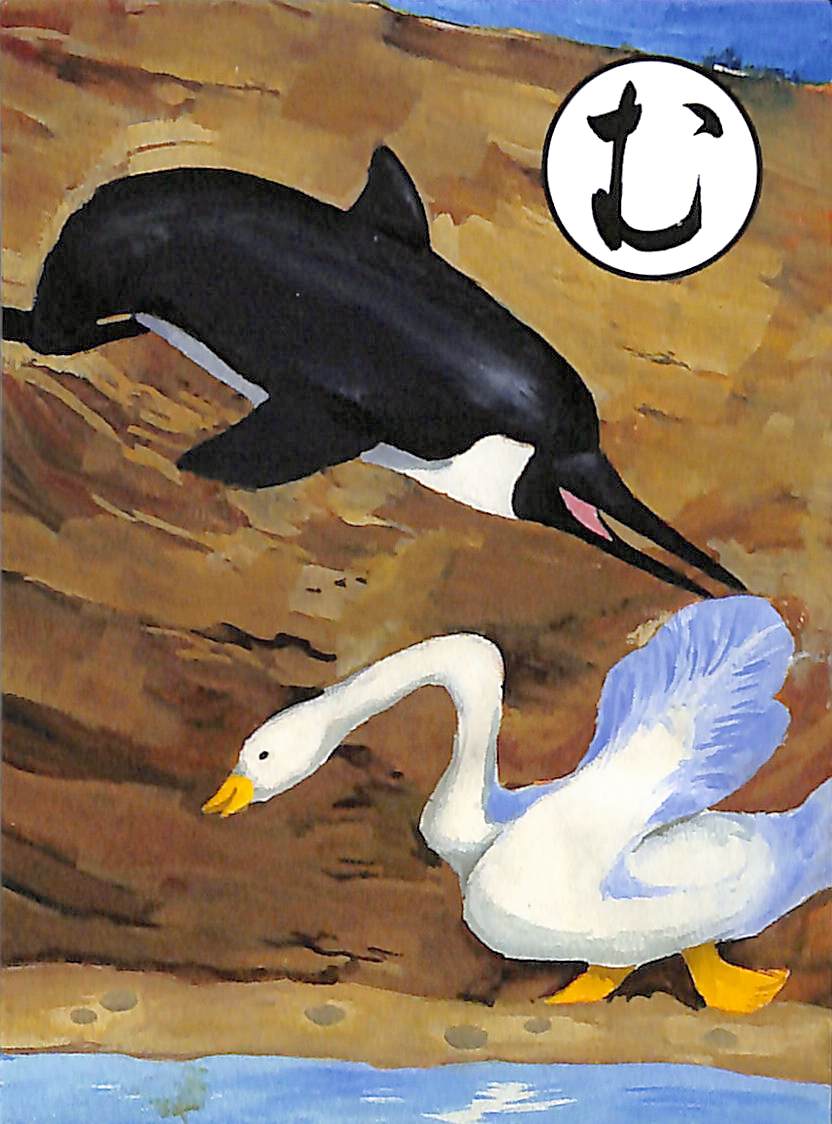 む