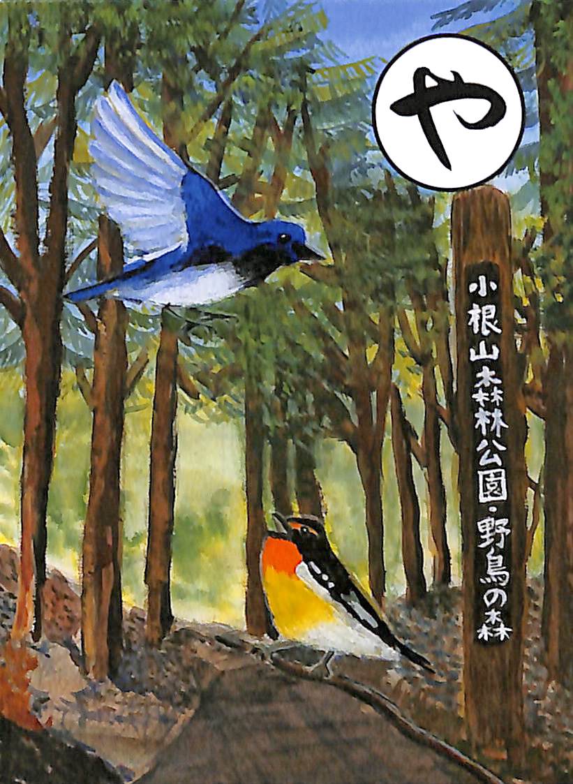 や