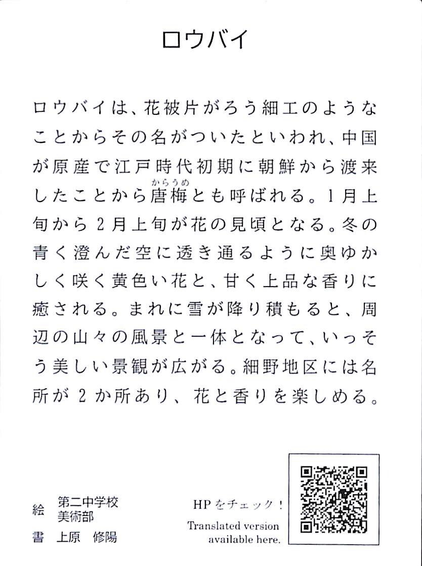 ろ（絵札裏）