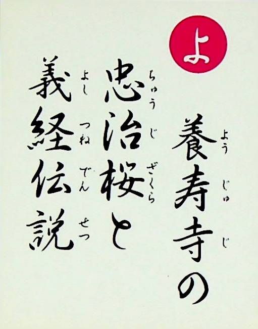 養寿寺の　忠治桜と　義経伝説