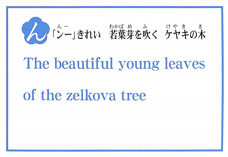 「ンー」きれい　若葉芽を吹く　ケヤキの木