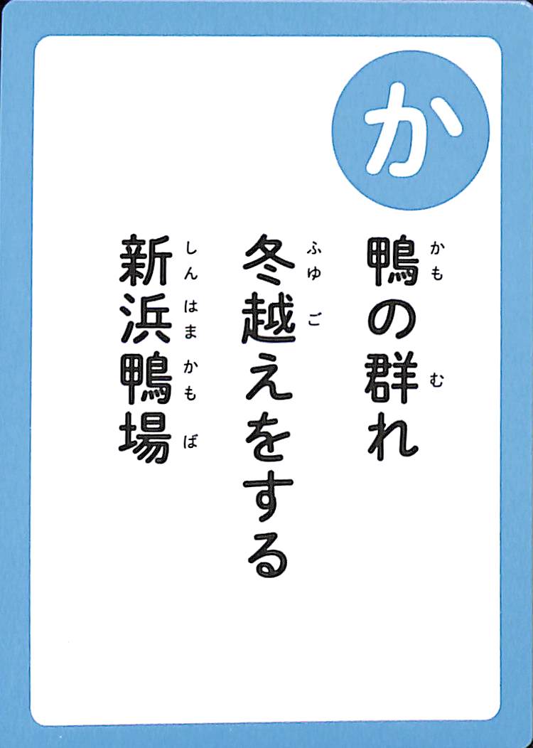 鴨の群れ　冬越えをする　新浜鴨場