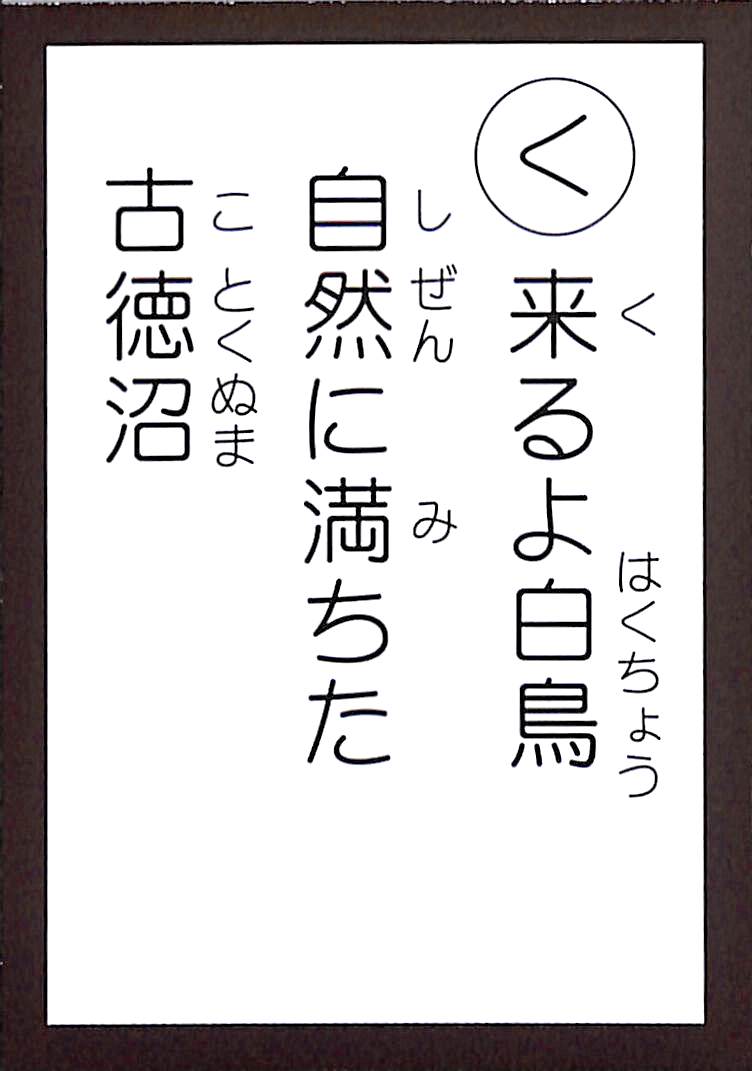 来るよ白鳥　自然に満ちた　古徳沼