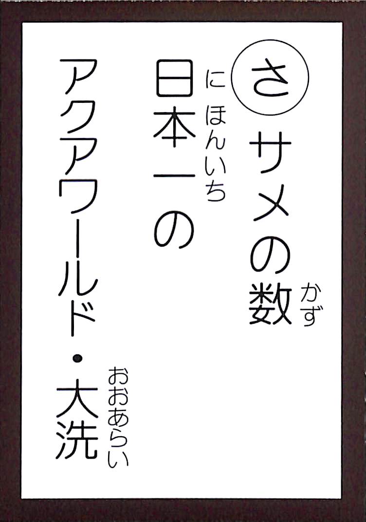 サメの数　日本一の　アクアワールド・大洗