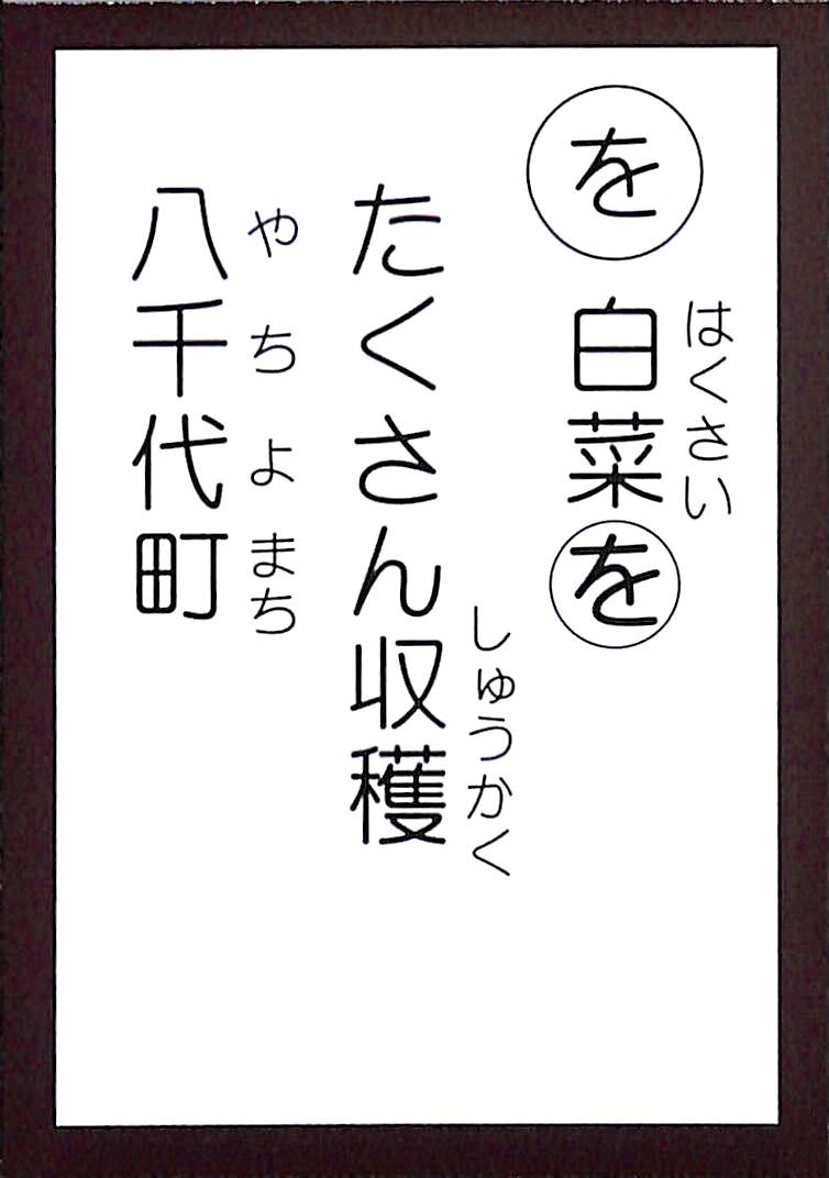 白菜を　たくさん収穫　八千代町