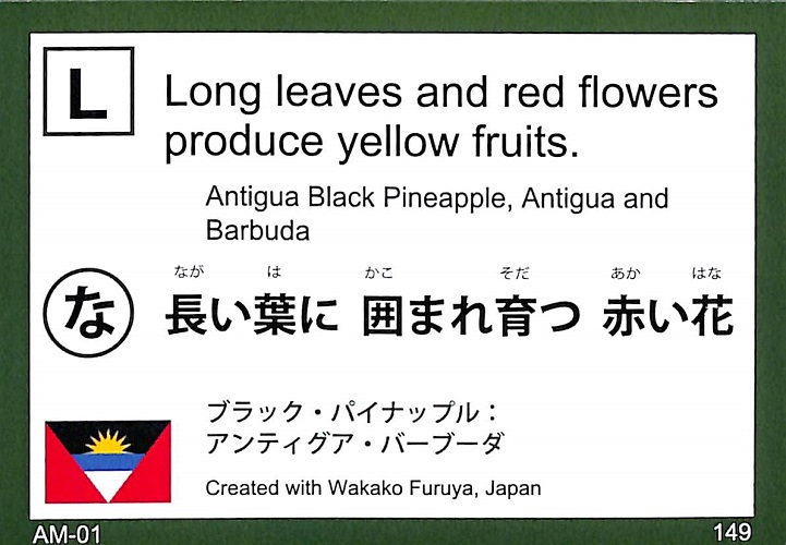 長い葉に　囲まれ育つ　赤い花