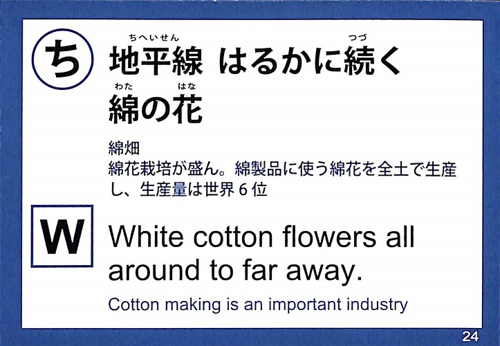 地平線　はるかに続く　綿の花